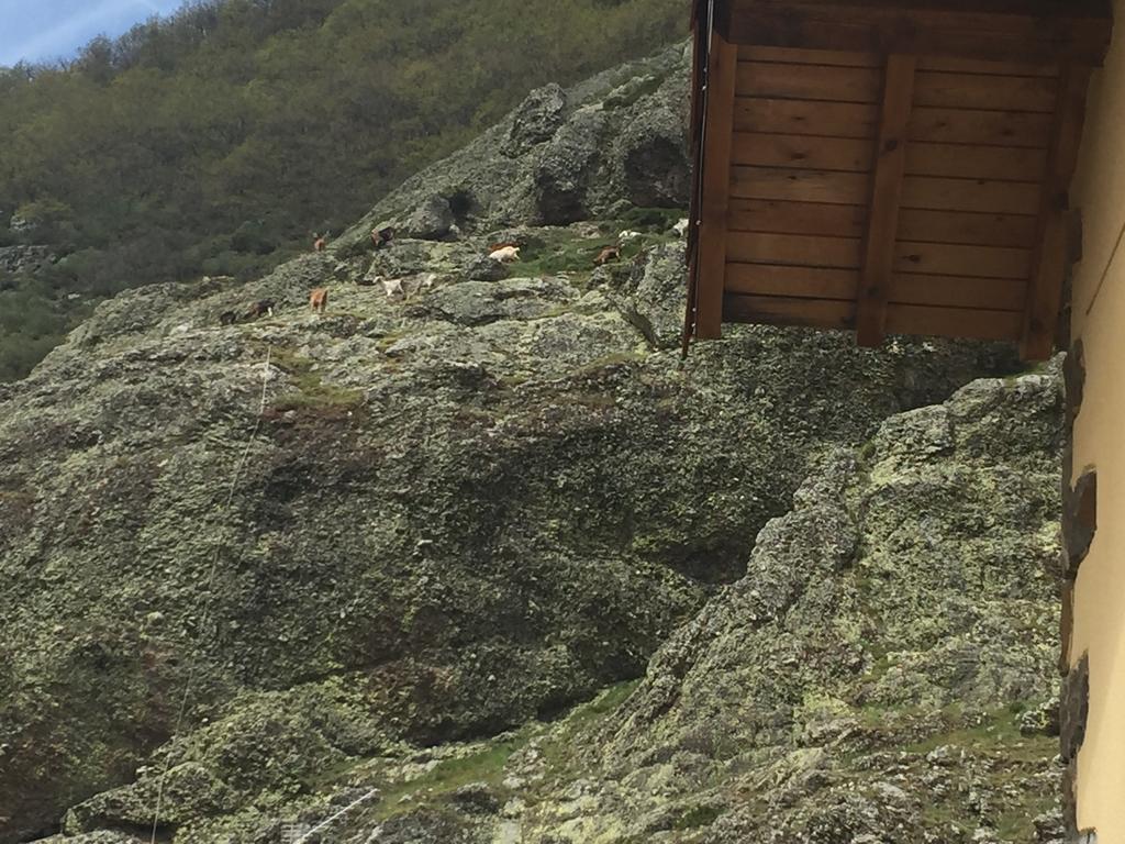 El Invernal De Picos Portilla de la Reina エクステリア 写真
