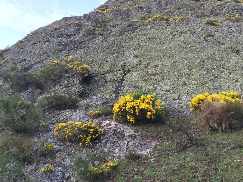 El Invernal De Picos Portilla de la Reina エクステリア 写真