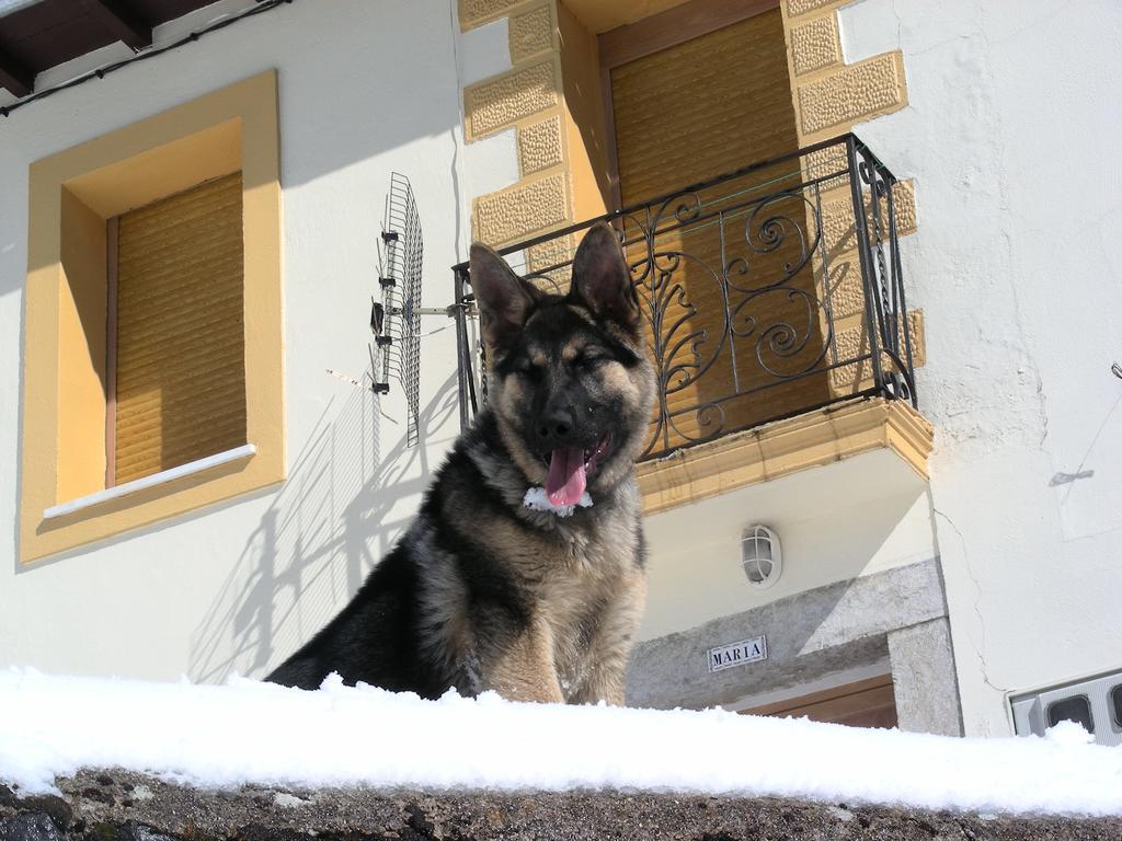 El Invernal De Picos Portilla de la Reina エクステリア 写真